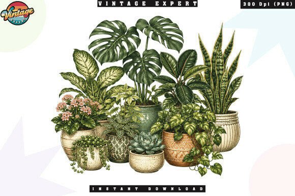 Download Indoor Plant Lover Botanical PNG - Indoor Collection